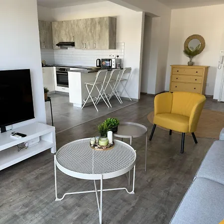 Apartment Luxurious Penthouse In Center 300m From The